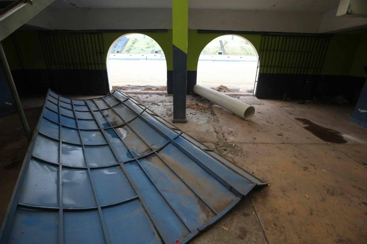 Condepor reactiva trabajos de remodelación en el Estadio Juan Ramón Brevé: ¡se viene la nueva grama híbrida!