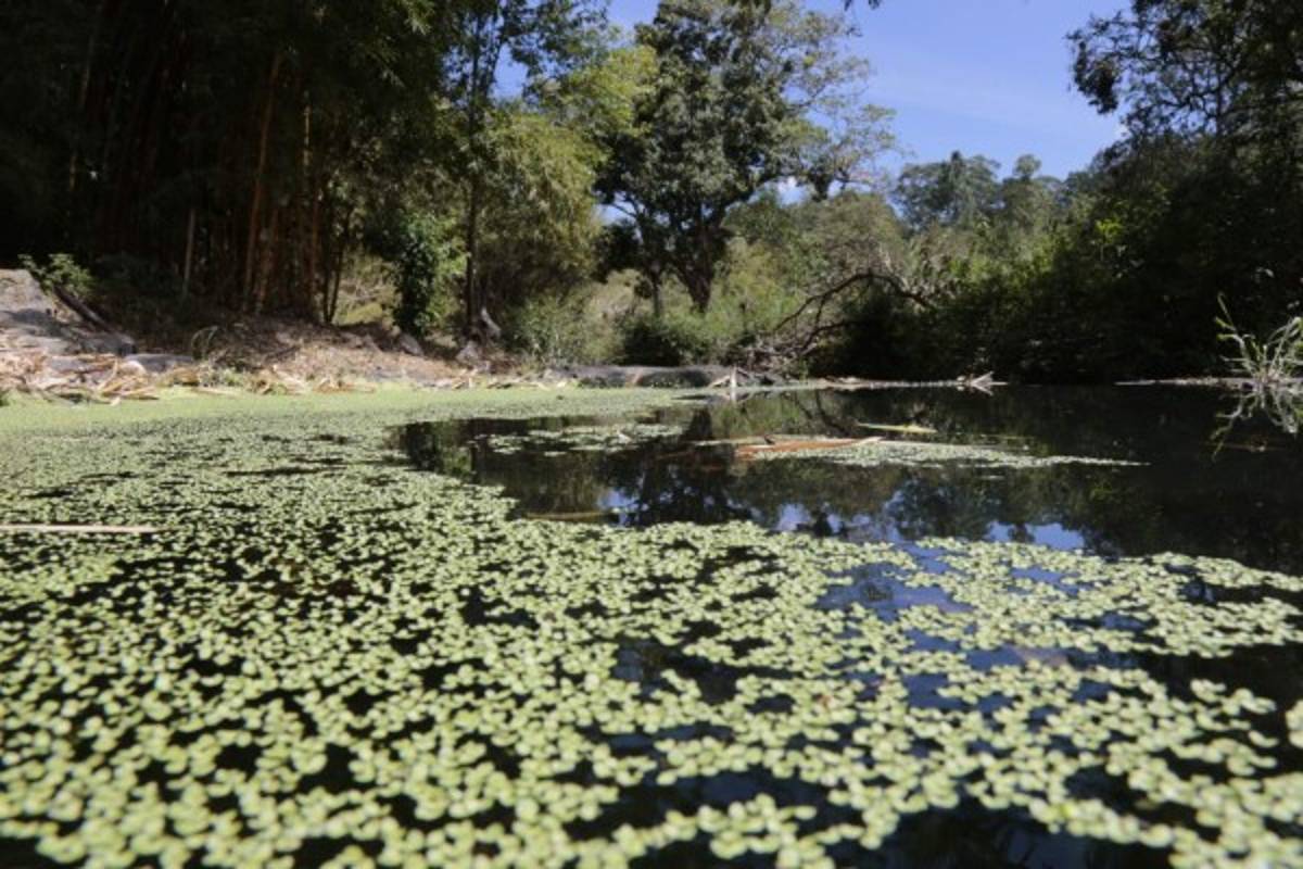 FOTOS: La hermosa Siguatepeque, la casa del Atlético Independiente