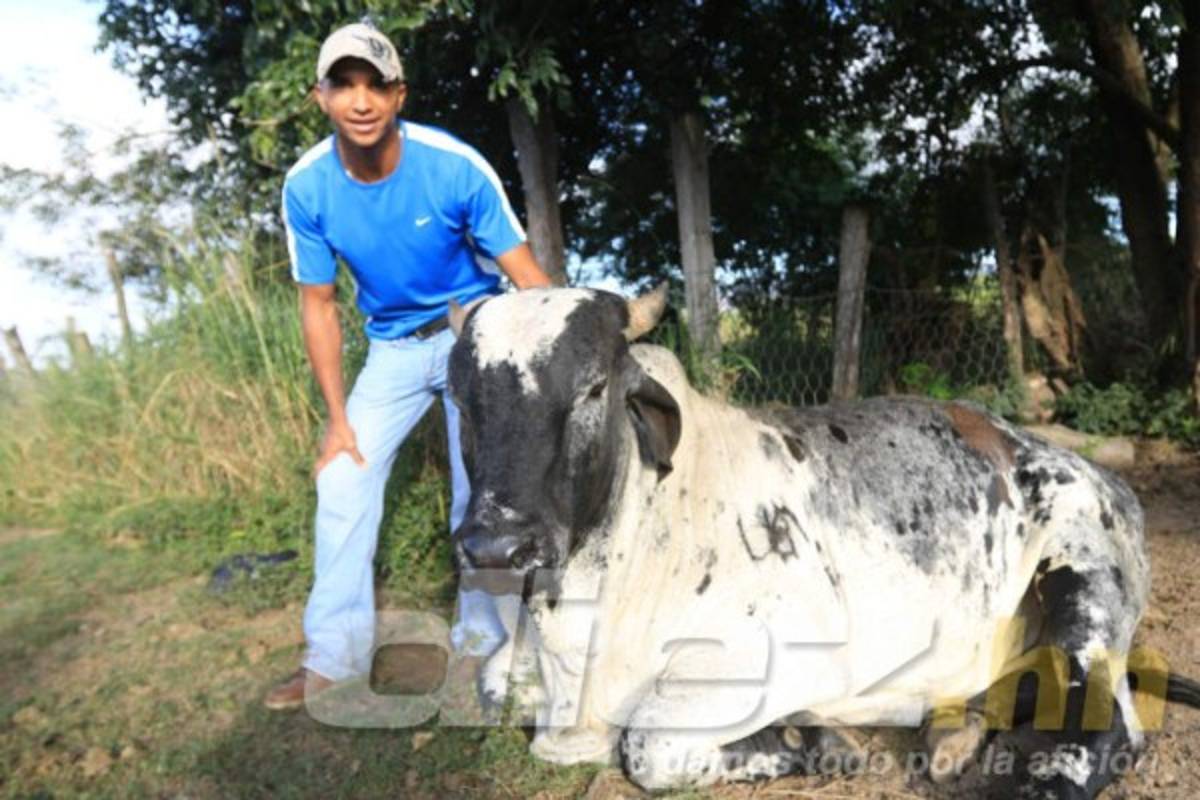 Así es la vida del portero Donis Escober entre ganado en su pueblo natal
