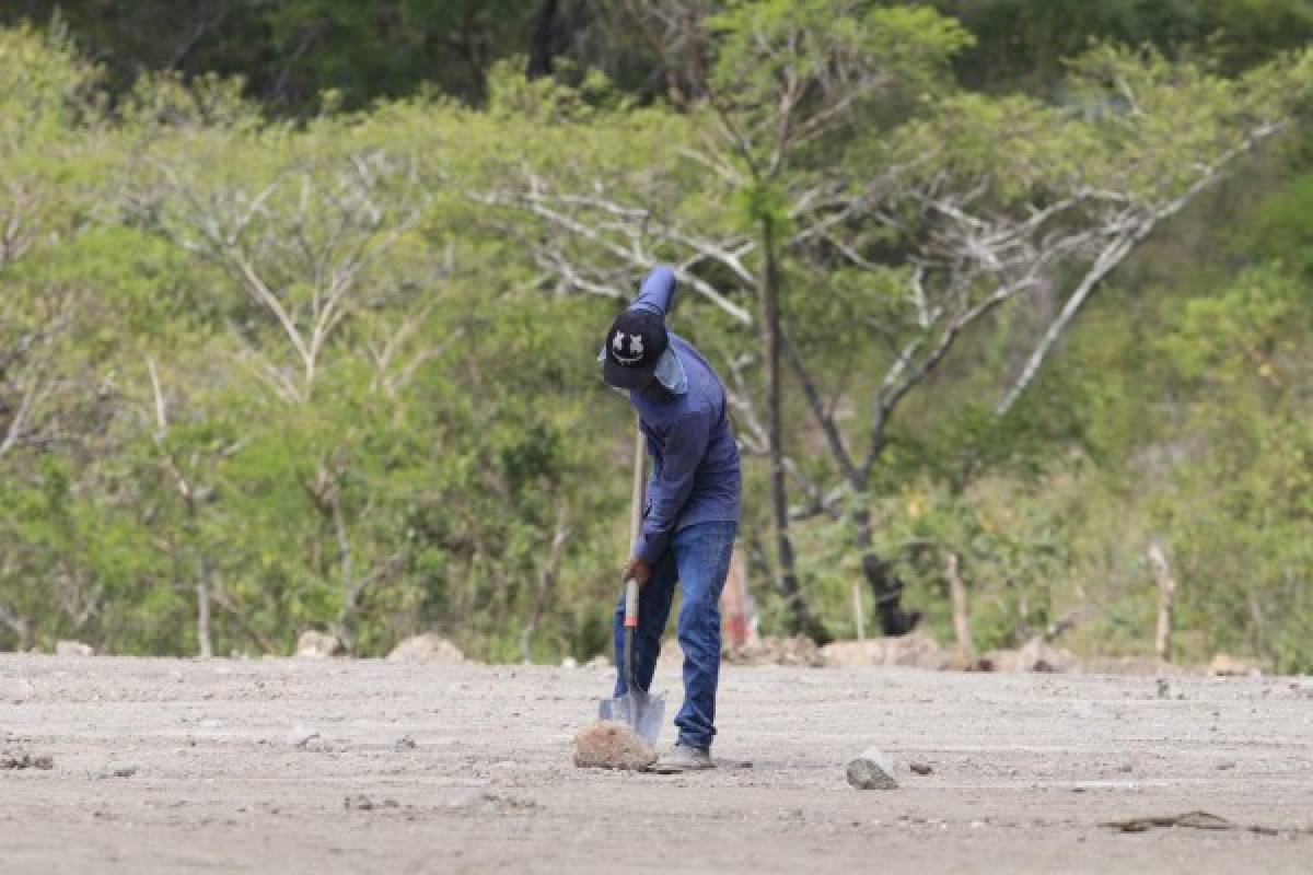 ¡Olimpia se sumará! Los equipos de Honduras que tienen su propia sede