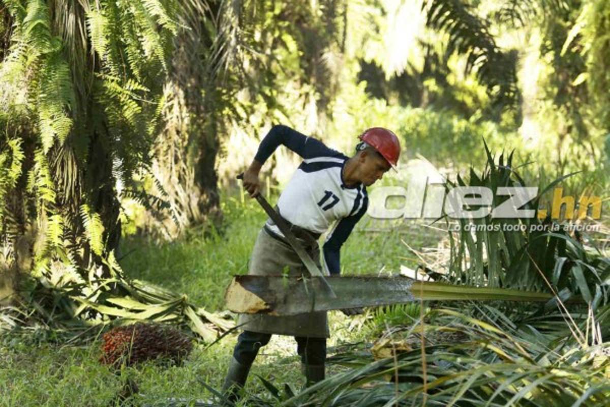 EN FOTOS: Así es la nueva vida de Juan Carlos Acevedo, ex jugador del Real España