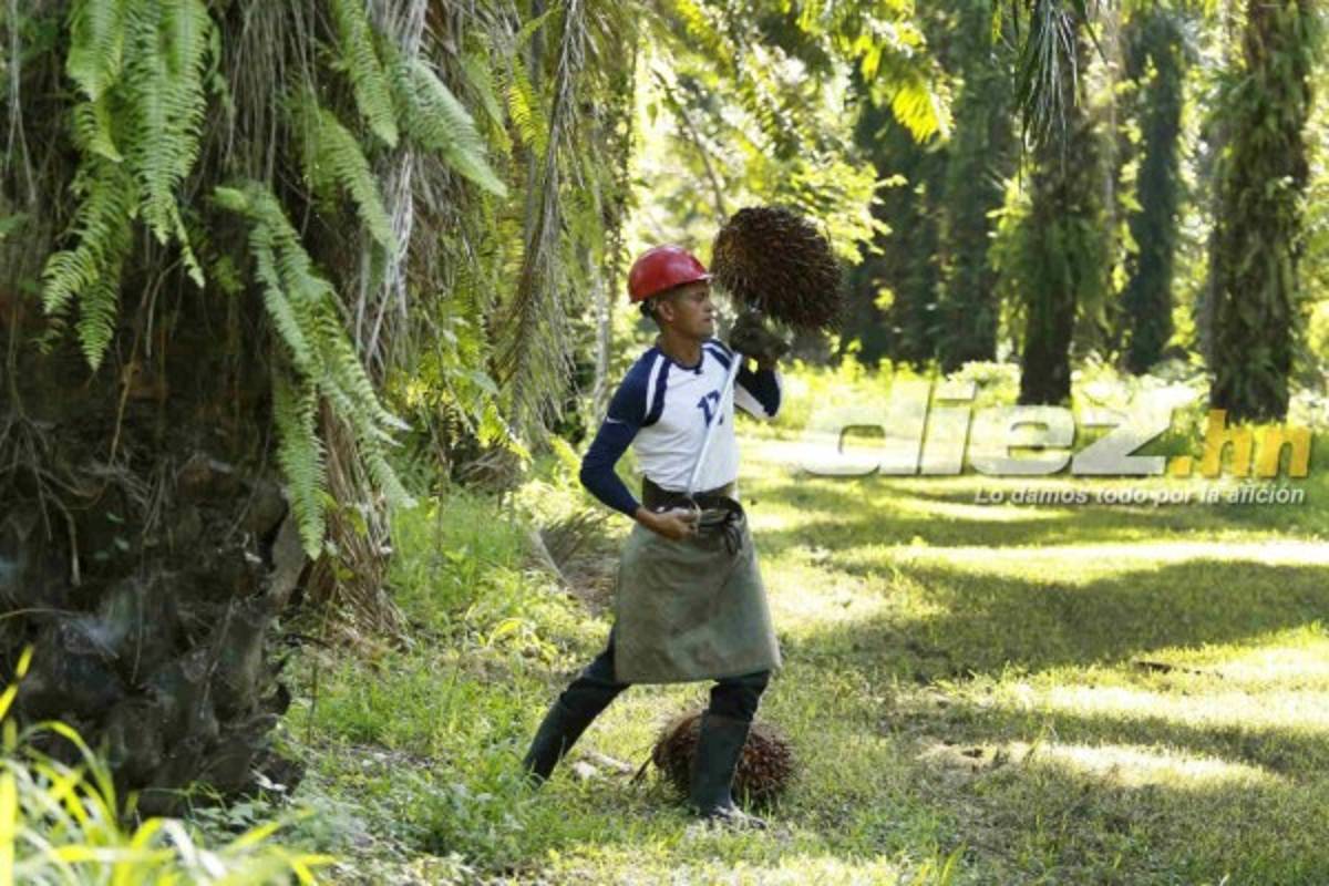 EN FOTOS: Así es la nueva vida de Juan Carlos Acevedo, ex jugador del Real España