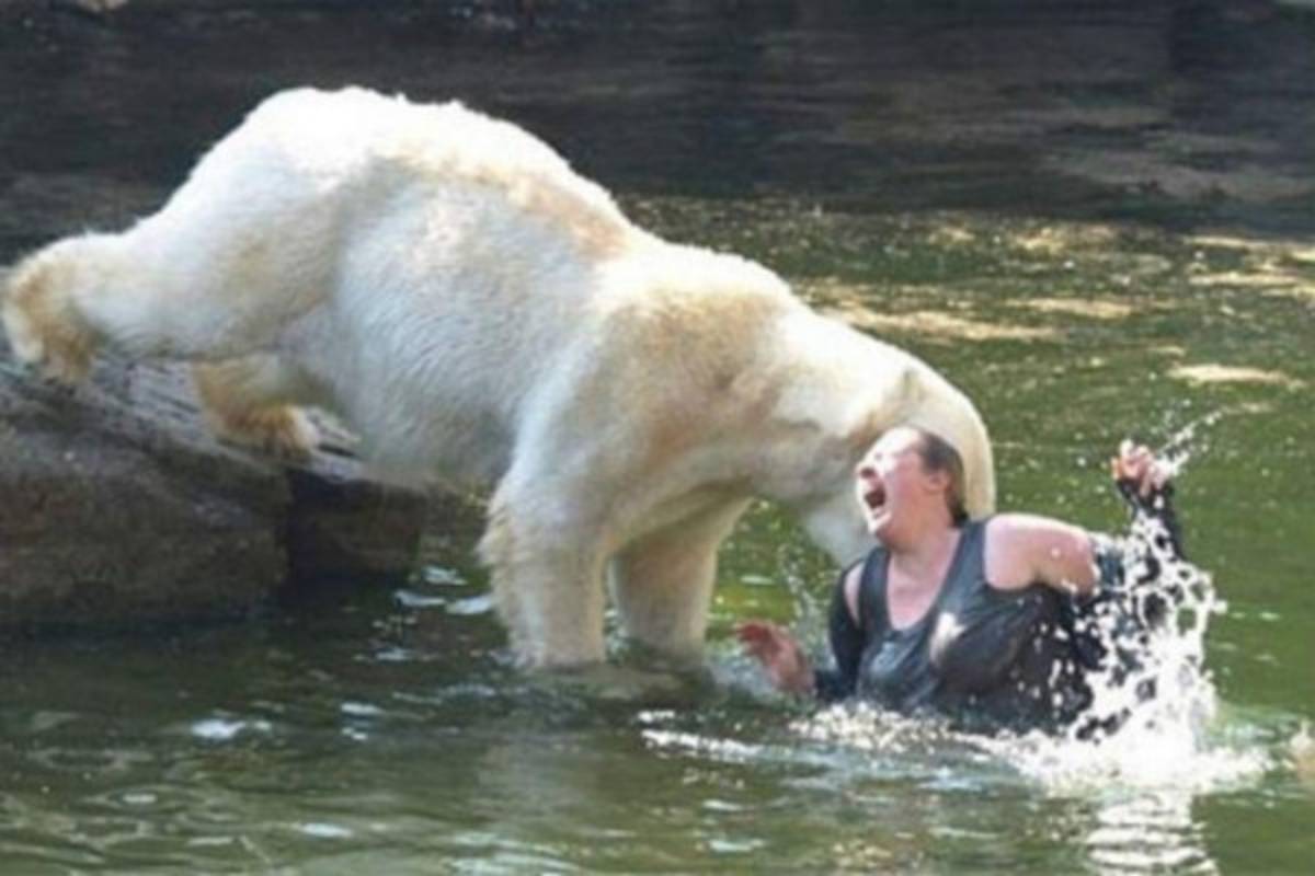 ¡Impactantes! Imágenes que fueron tomadas justo antes de la tragedia