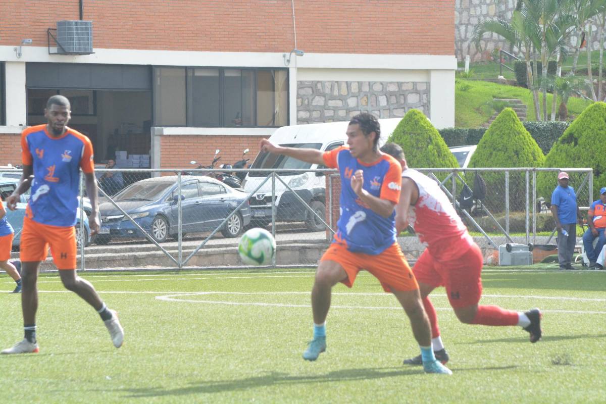 Mercado: Renovaciones en Olimpia; Potros, Vida y UPNFM anuncian fichajes y la oferta por Luis Palma en Inglaterra