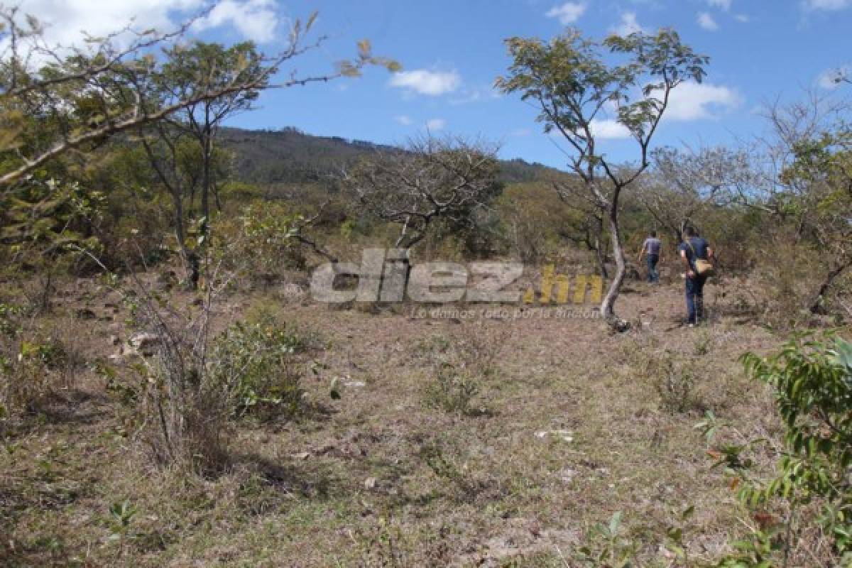 Fotos: En este lugar se edificará la sede del Olimpia de Honduras