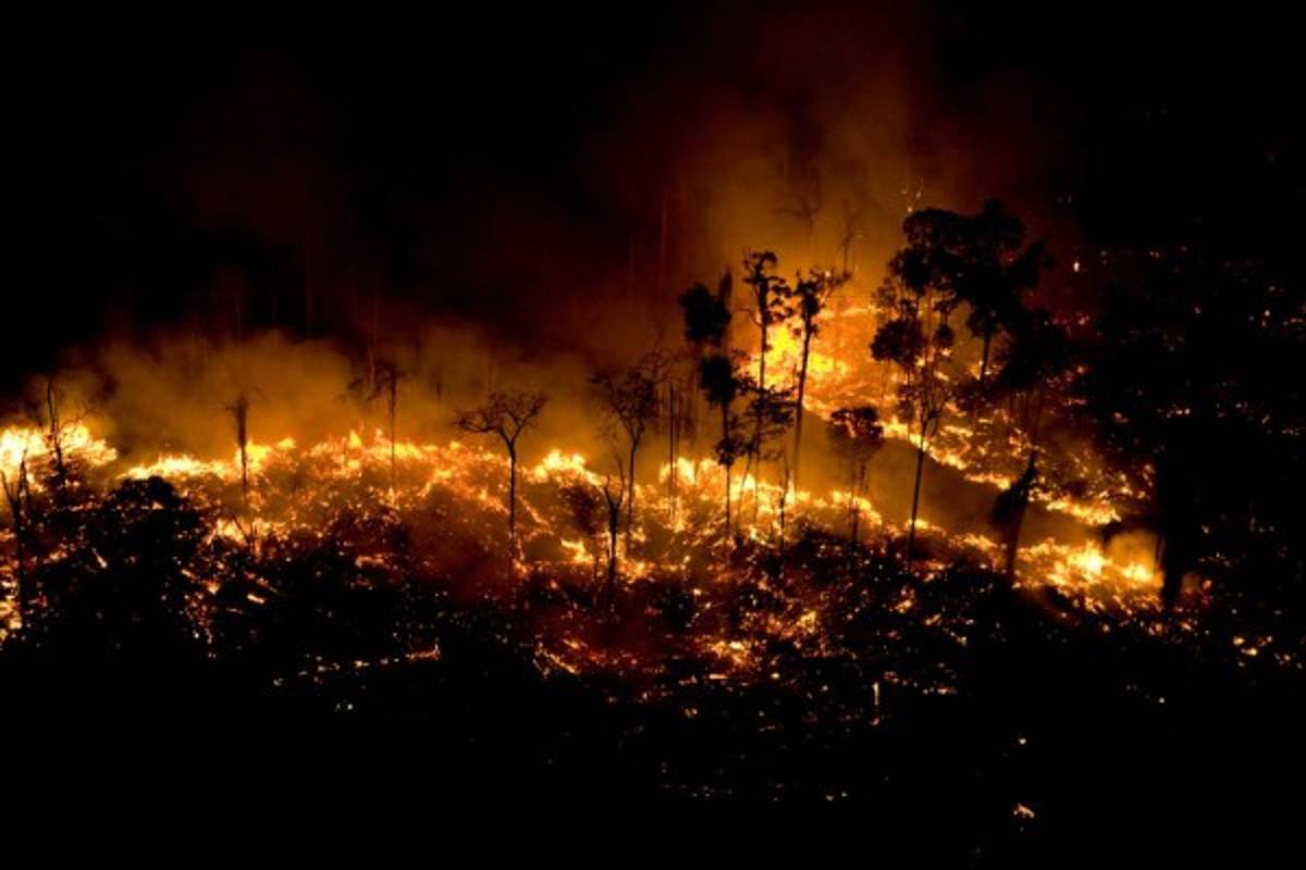 Las imágenes del terrible incendio que devora el Amazonas, el pulmón del mundo