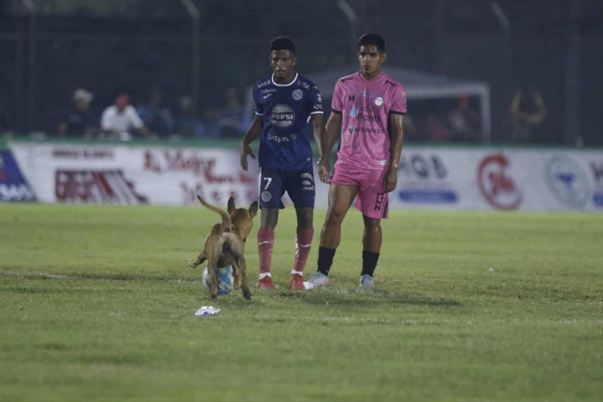 Futbolista de Motagua llora, la belleza en Choloma y el show de 'Firulays': ¡no le podían quitar el balón!
