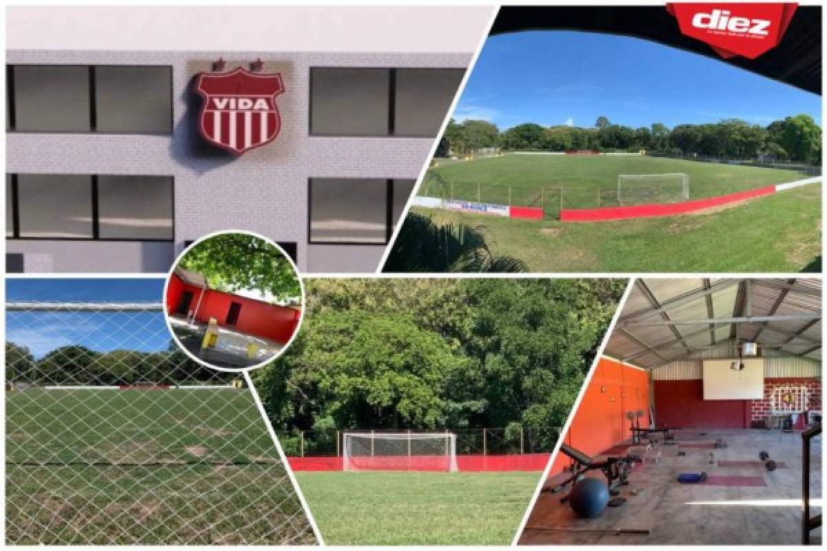 Gradería techada y cancha de primer nivel: Así será el estadio del Vida en el Campo Atlántida de La Ceiba