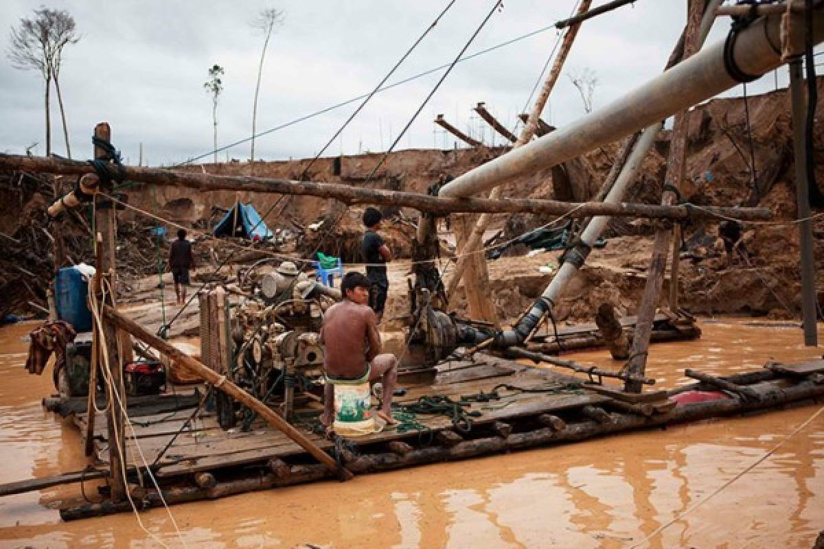 'Ríos de Oro': Las imágenes de la NASA revelan la destrucción de la minería ilegal en la Amazonia