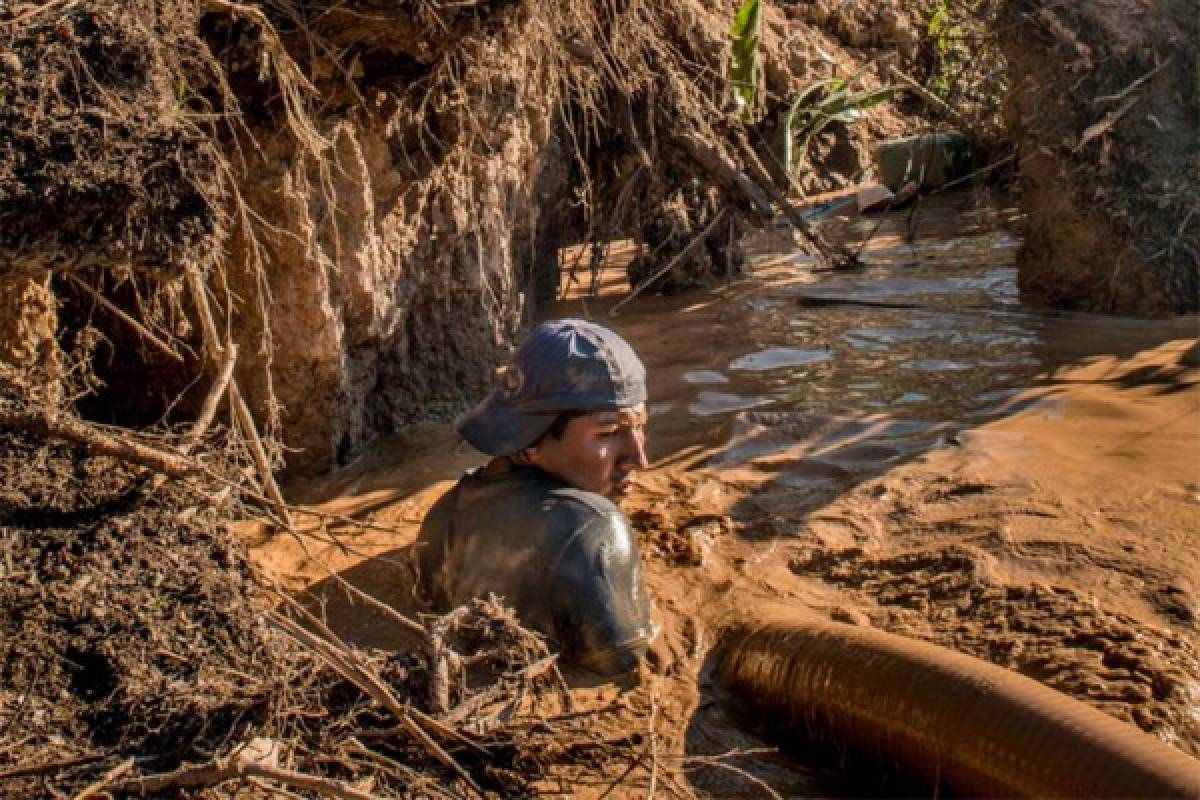 'Ríos de Oro': Las imágenes de la NASA revelan la destrucción de la minería ilegal en la Amazonia