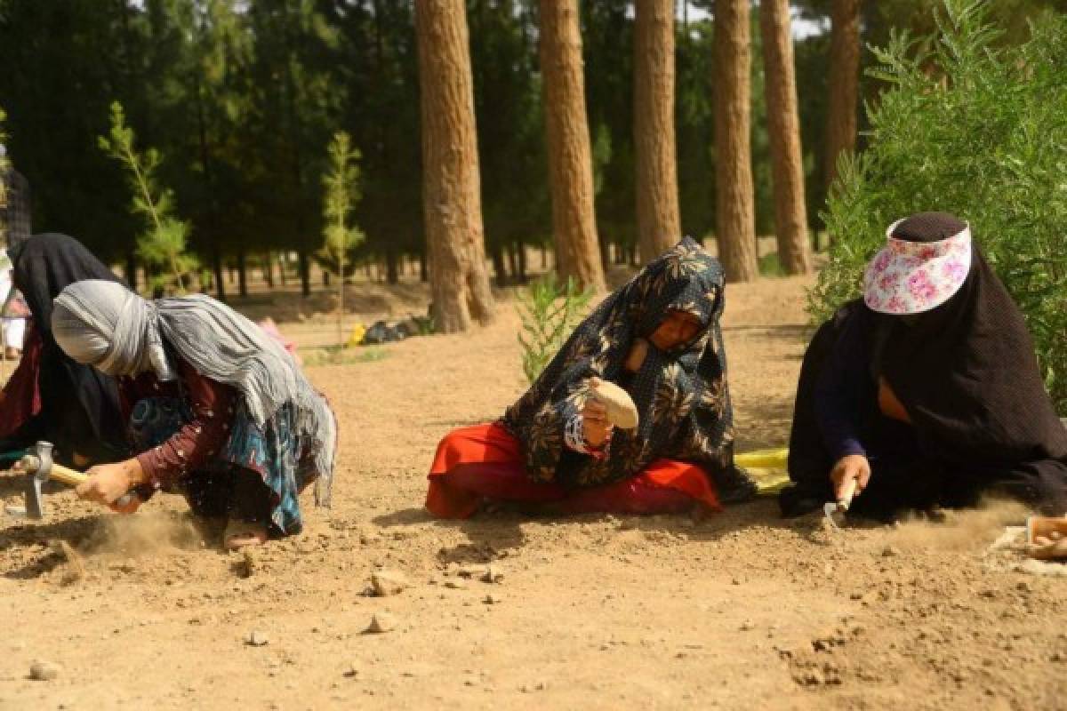 Impedimentos inhumanos: Las 29 desgarradoras prohibiciones de los Talibanes a las mujeres en Afganistán