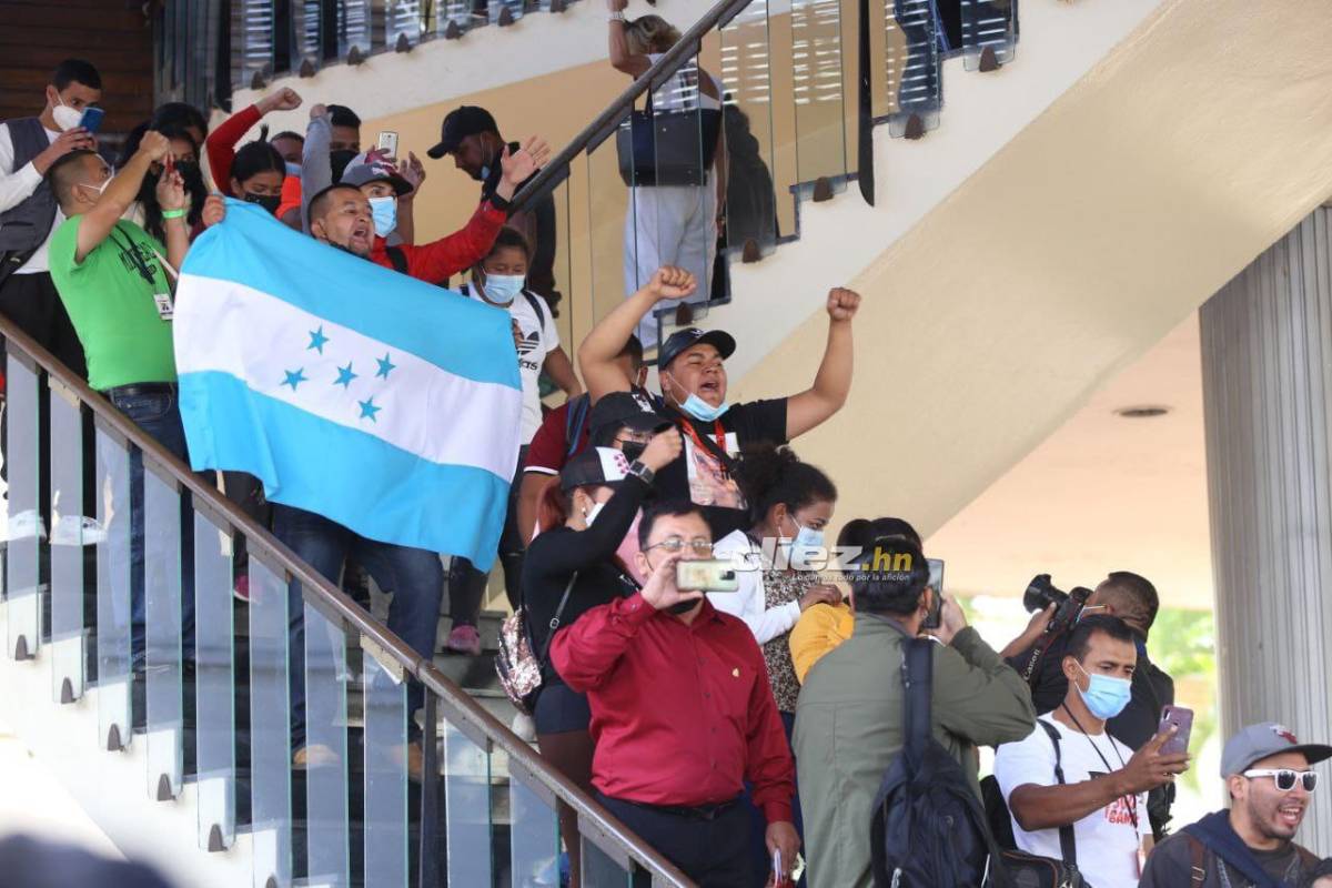 Las fotos del zafarrancho: Patadas y manotazos en el Congreso Nacional; exfutbolista Osman Chávez impuso respeto