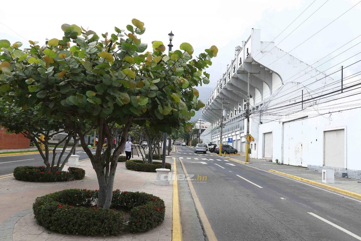 Los rincones del estadio Morazán: Así se encuentra el templo donde se jugará la final Real España - Olimpia
