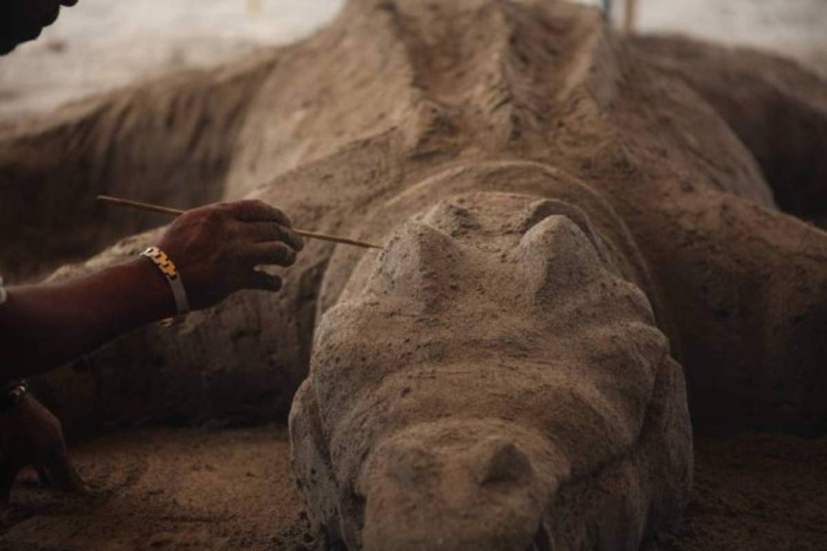 Sonrisas, unidad y el escudo de arena de los jugadores del Vida