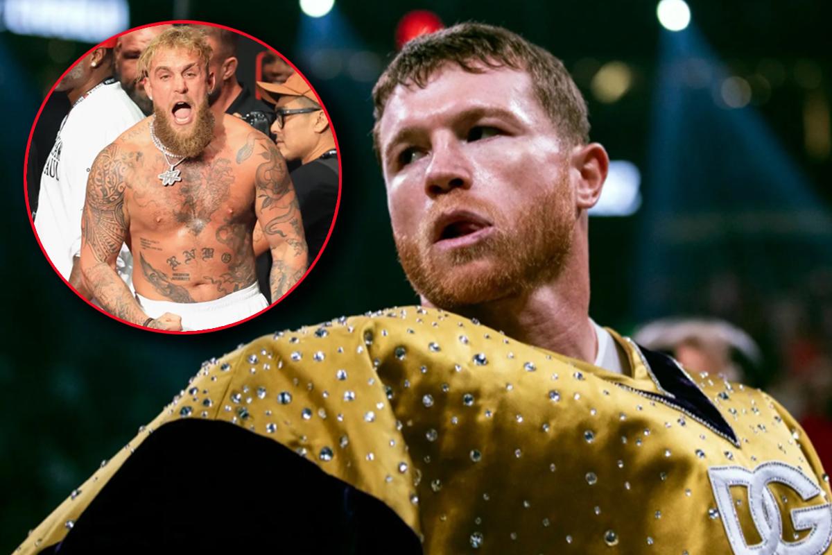 Lo humilló: Canelo Álvarez le responde a Jake Paul tras vencer a Mike Tyson y retarlo a un combate