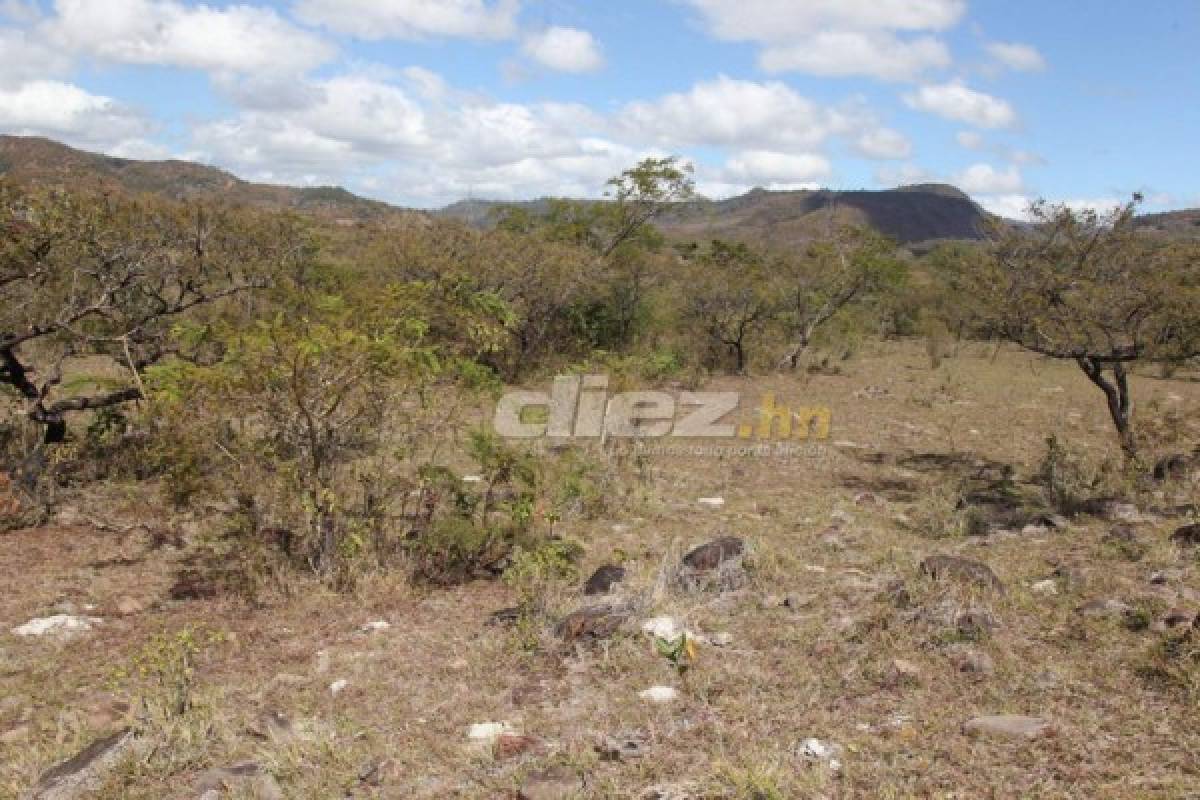 Fotos: En este lugar se edificará la sede del Olimpia de Honduras