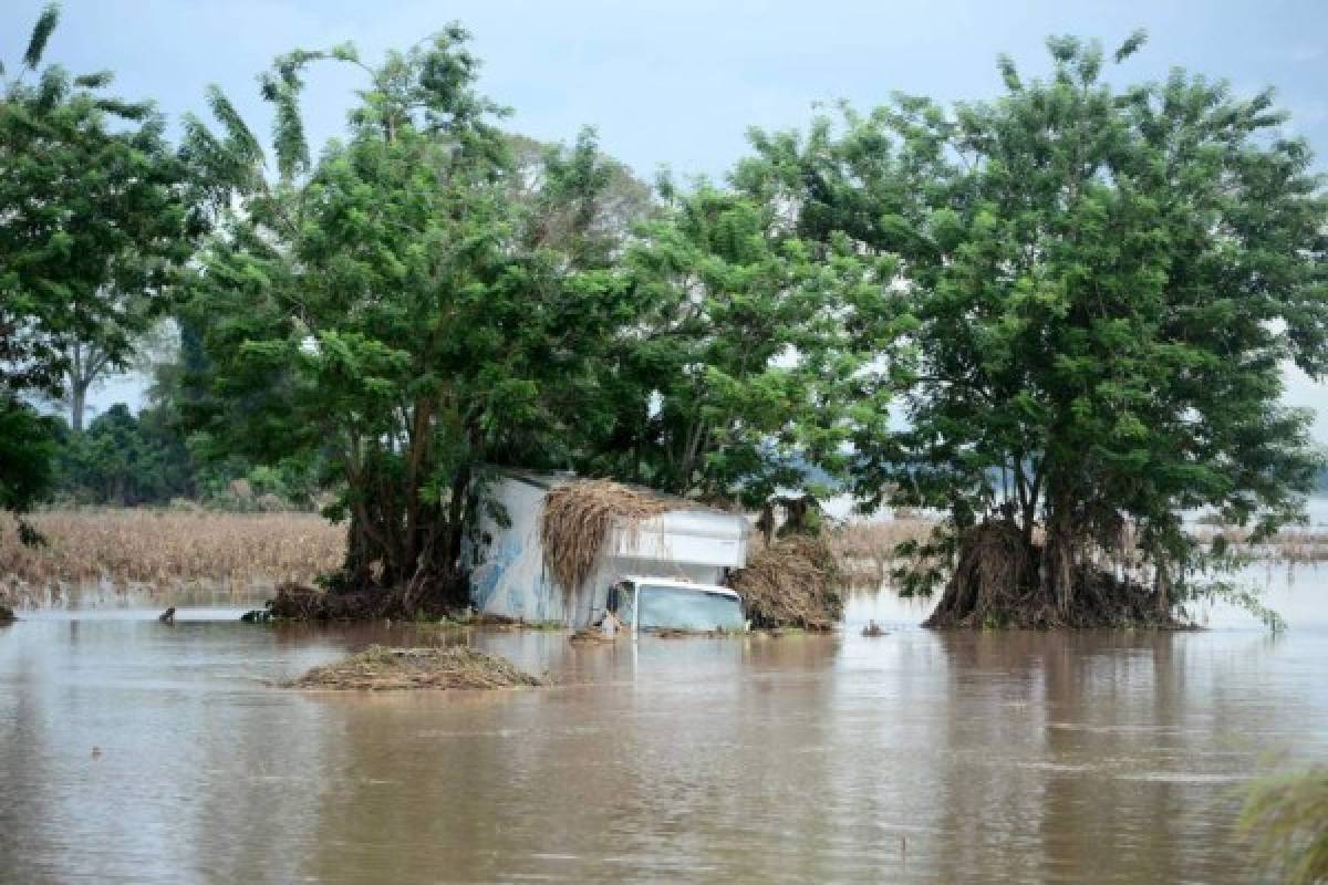Desolación: La otra cara de la tormenta Eta y su paso por Honduras