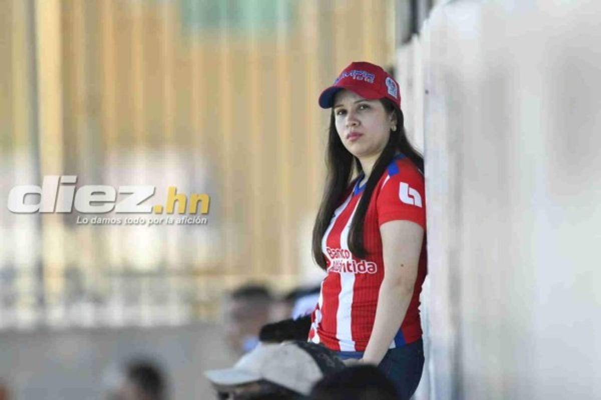 ¡Belleza! Las lindas chicas que adornaron la jornada de Liga Nacional