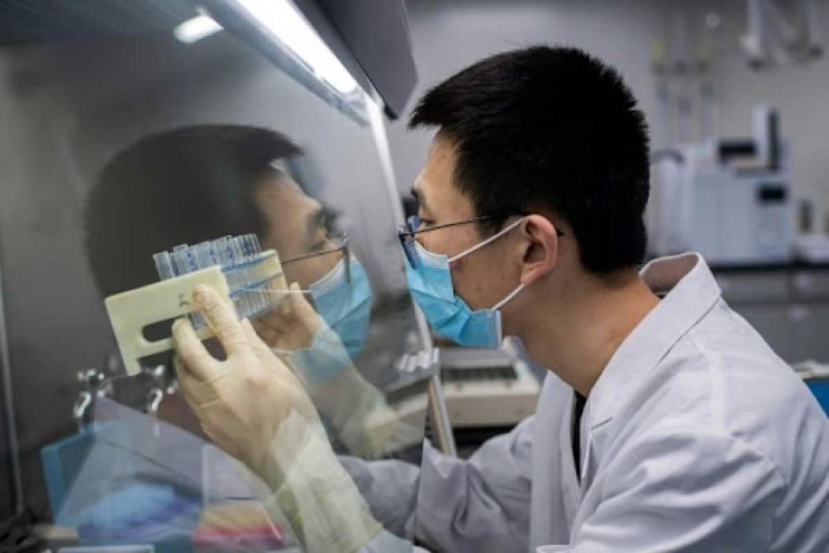 Coronavac: La vacuna que trabajan en China para combatir la pandemia del coronavirus