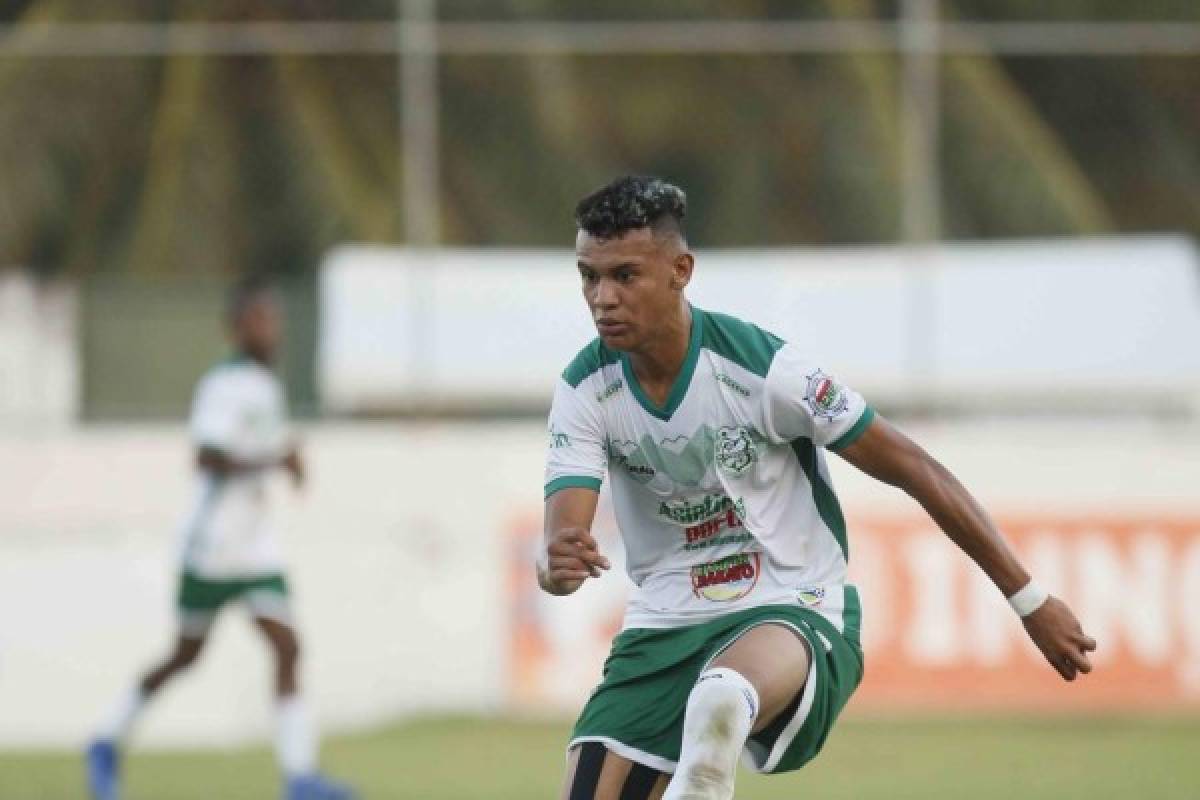 Fichajes: Jugadores que fueron peleados por los grandes de Liga Nacional de Honduras