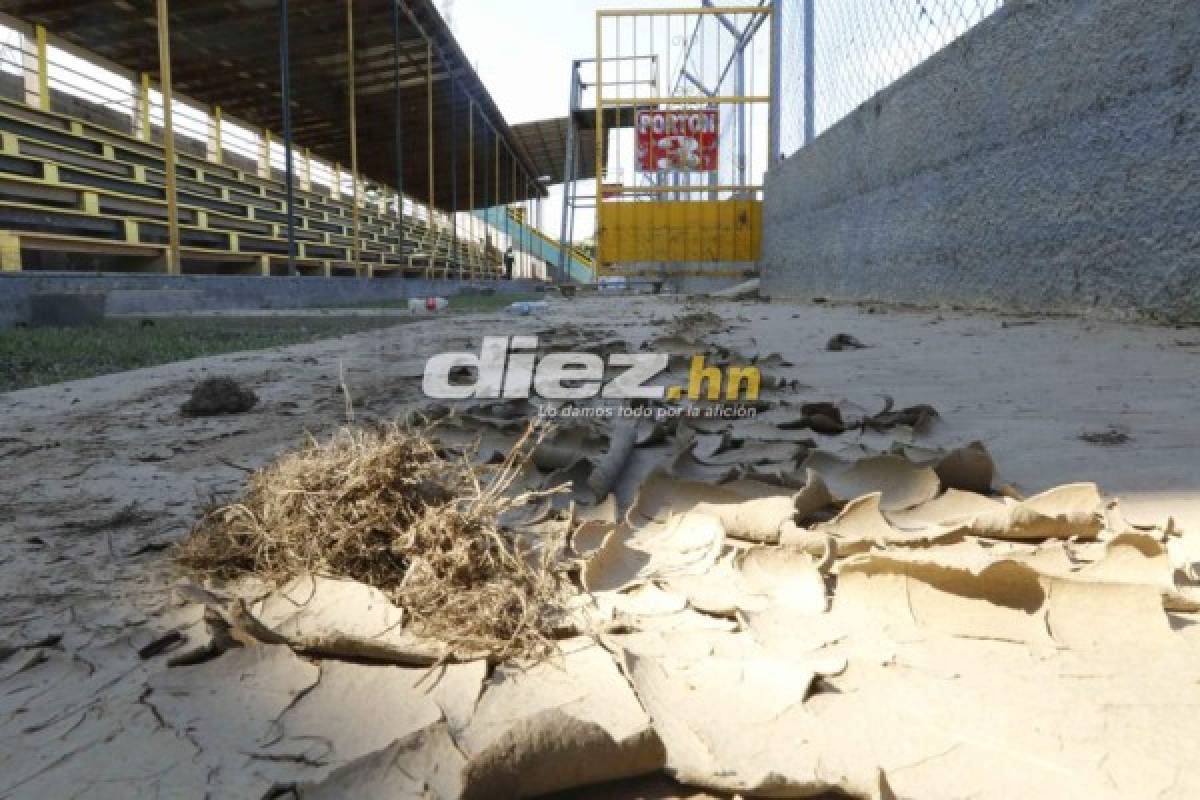 Las imágenes del estadio Humberto Micheletti de El Progreso tras el devastador paso de Eta