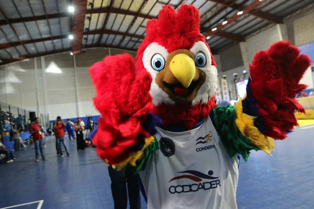 Selfies, euforia y trofeos: así fue la ceremonia de clausura de los Juegos Codicader