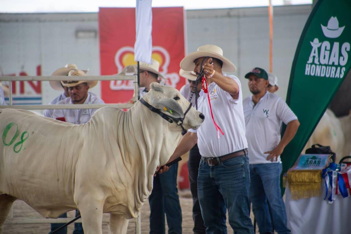 Del Olimpia a la ganadería: así es la nueva vida de Bryan Beckeles