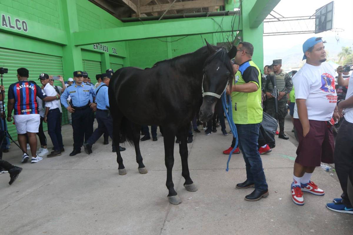 ¿Qué pasó antes del partido con los jugadores del Olancho? Los ‘pelados’ del Olimpia y lo que Auzmendi y Altamirano hacían en el gol de Omar Elvir