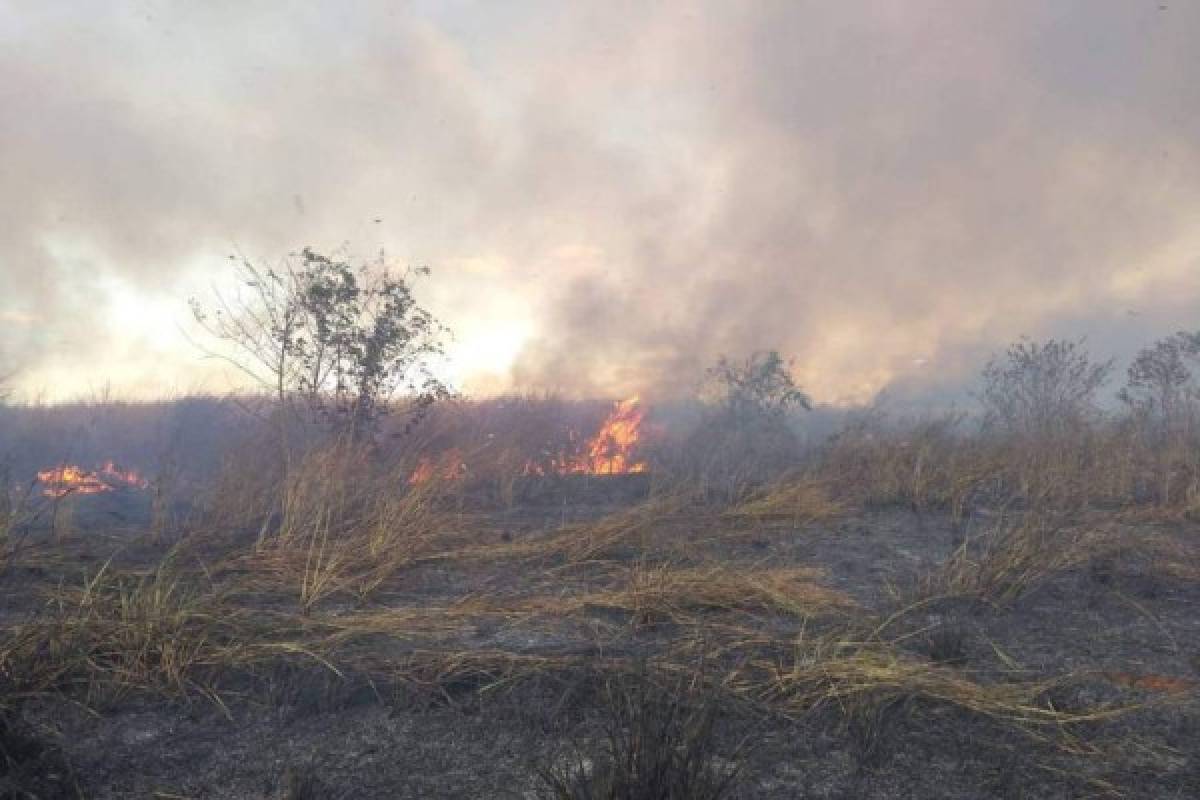 Las imágenes del terrible incendio que devora el Amazonas, el pulmón del mundo