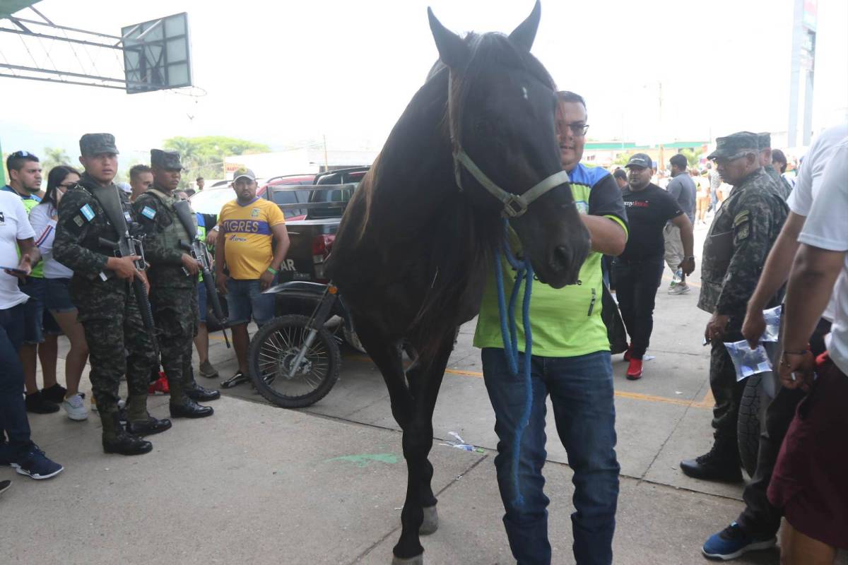 ¿Qué pasó antes del partido con los jugadores del Olancho? Los ‘pelados’ del Olimpia y lo que Auzmendi y Altamirano hacían en el gol de Omar Elvir