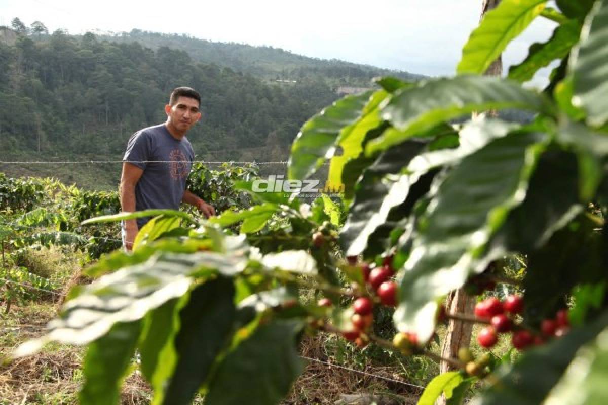 Entre repuestos, café y vacas, Irvin Reyna se olvida del fútbol en Siguatepeque