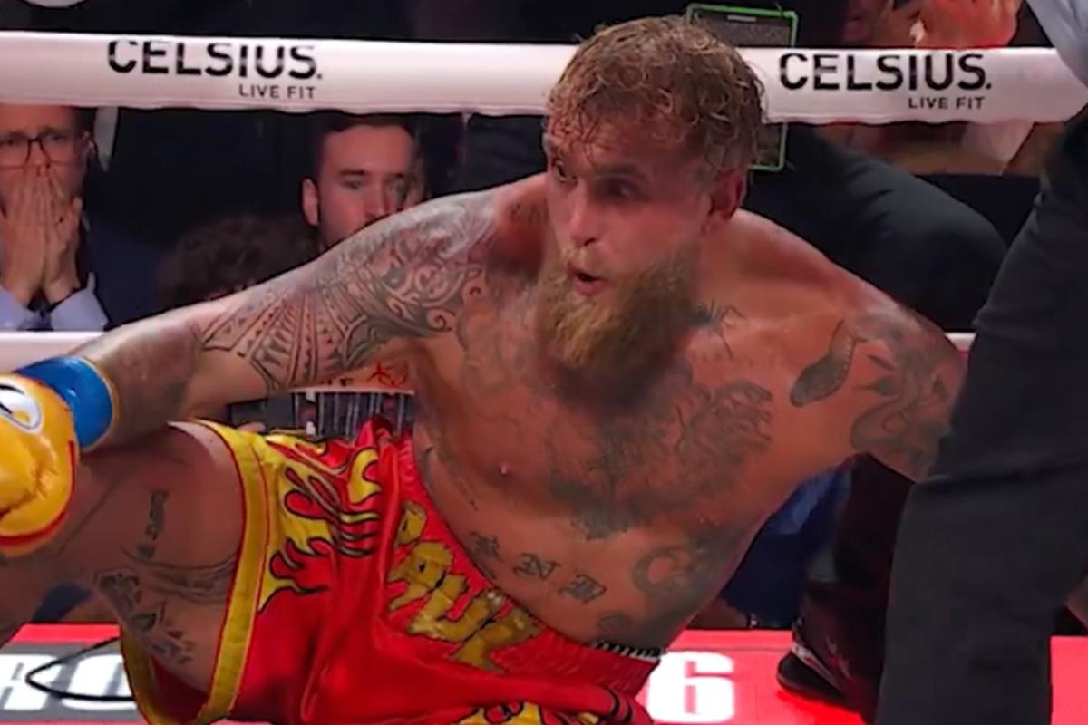 Anthony Joshua noqueó a Jake Paul con brutal derechazo y le rompe la mandíbula: Denme al Canelo...