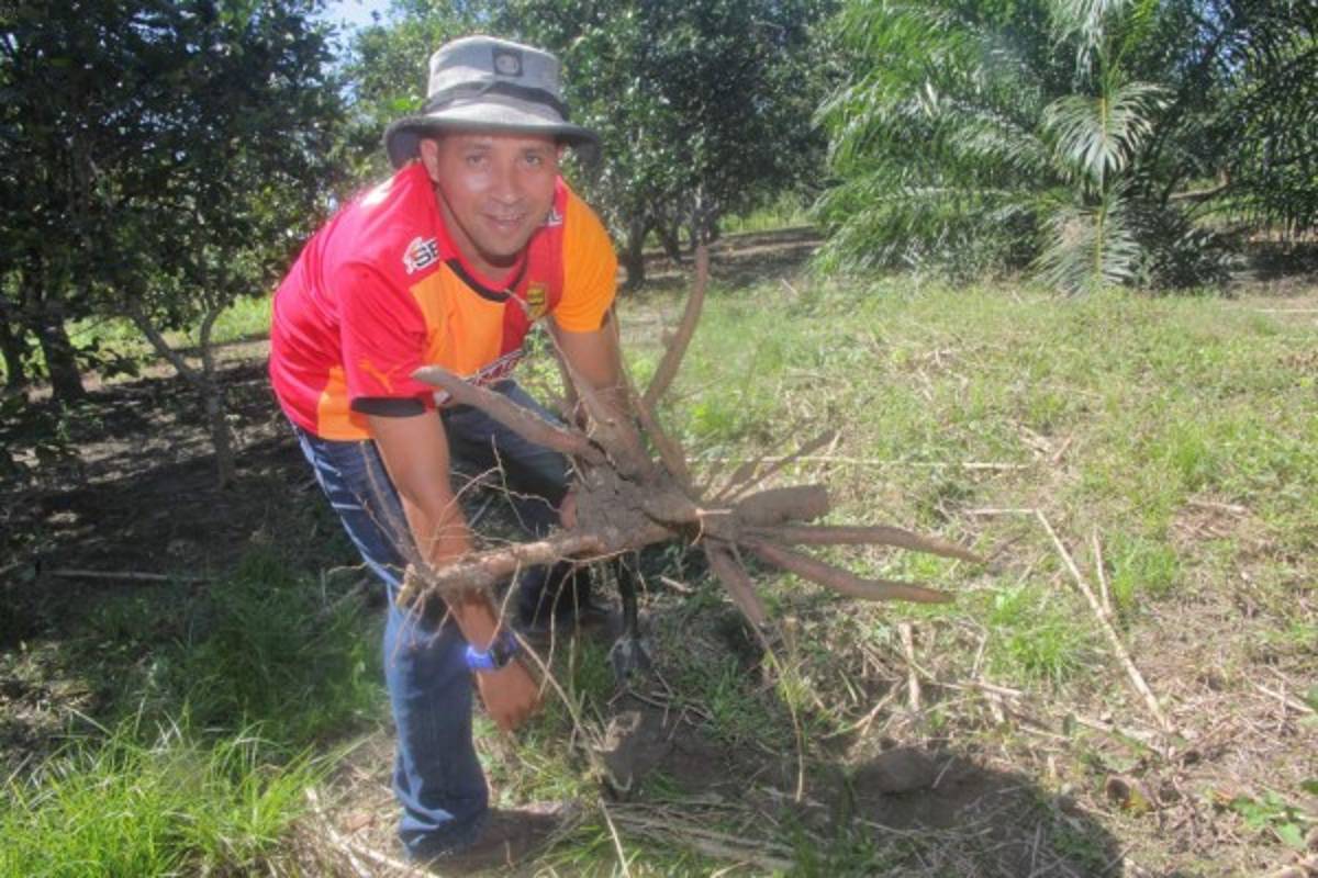 Así es la vida de Cruz Ávila, el mundialista que nunca pierde la sonrisa