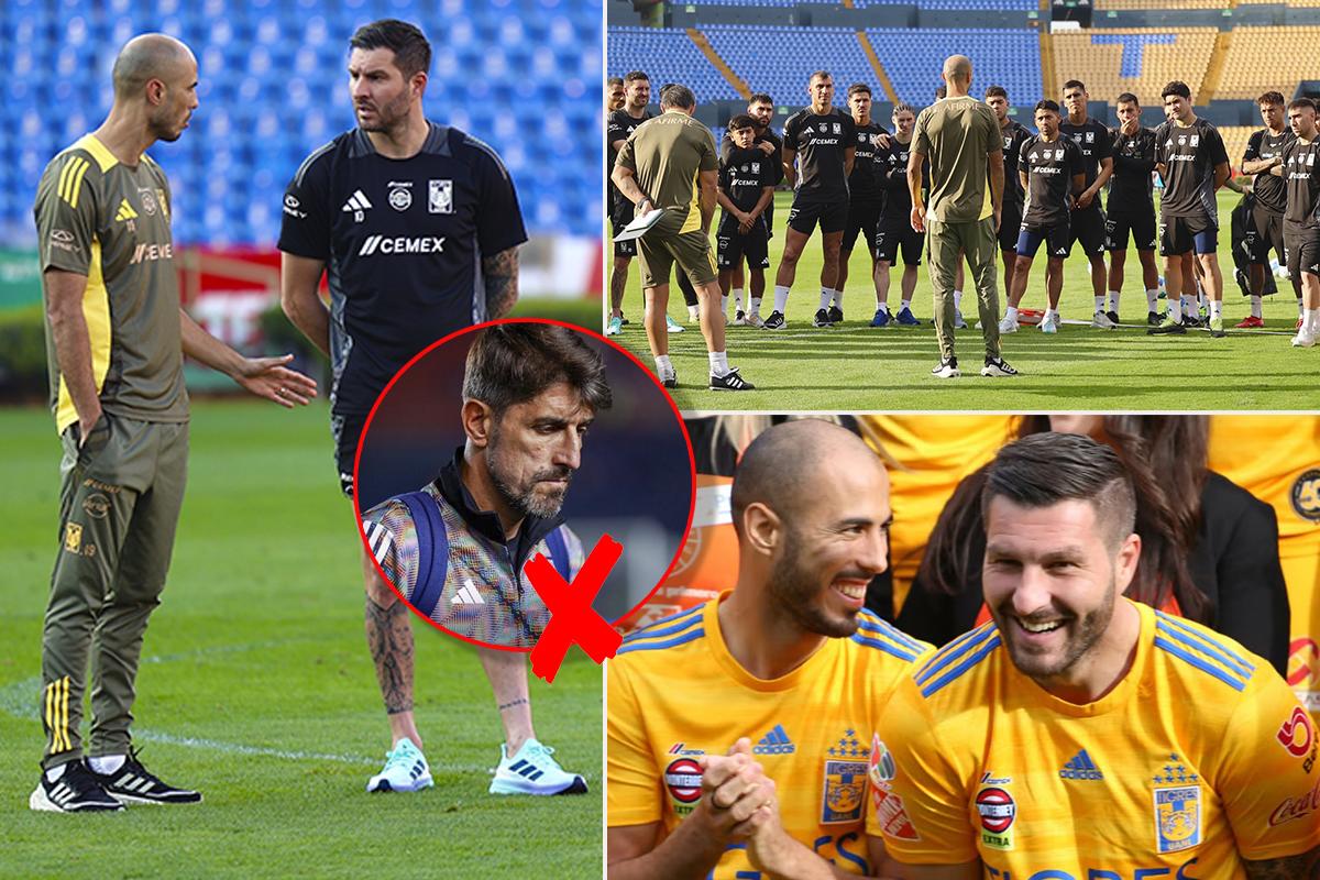 Sorpresa en Tigres: se retiró del fútbol con 35 años y de inmediato fue anunciado como nuevo técnico del equipo