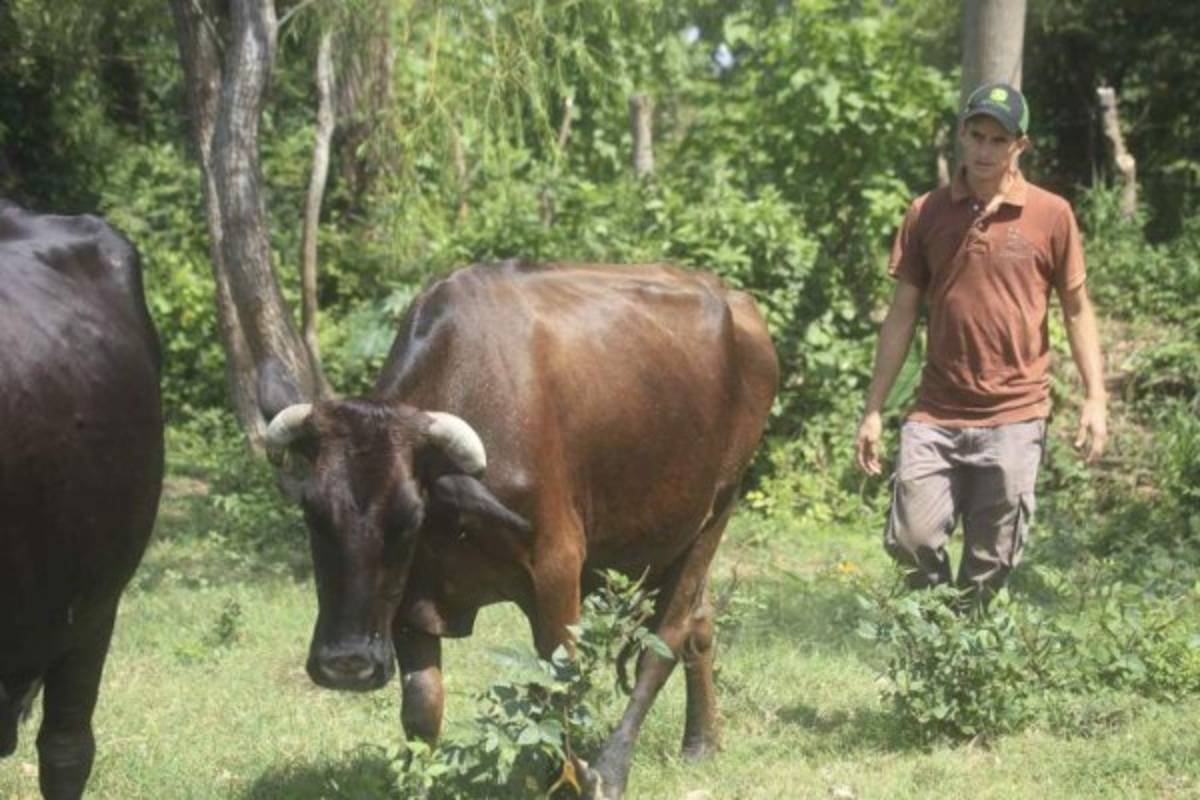 Futbolistas y exfutbolistas que ahora son empresarios en Honduras