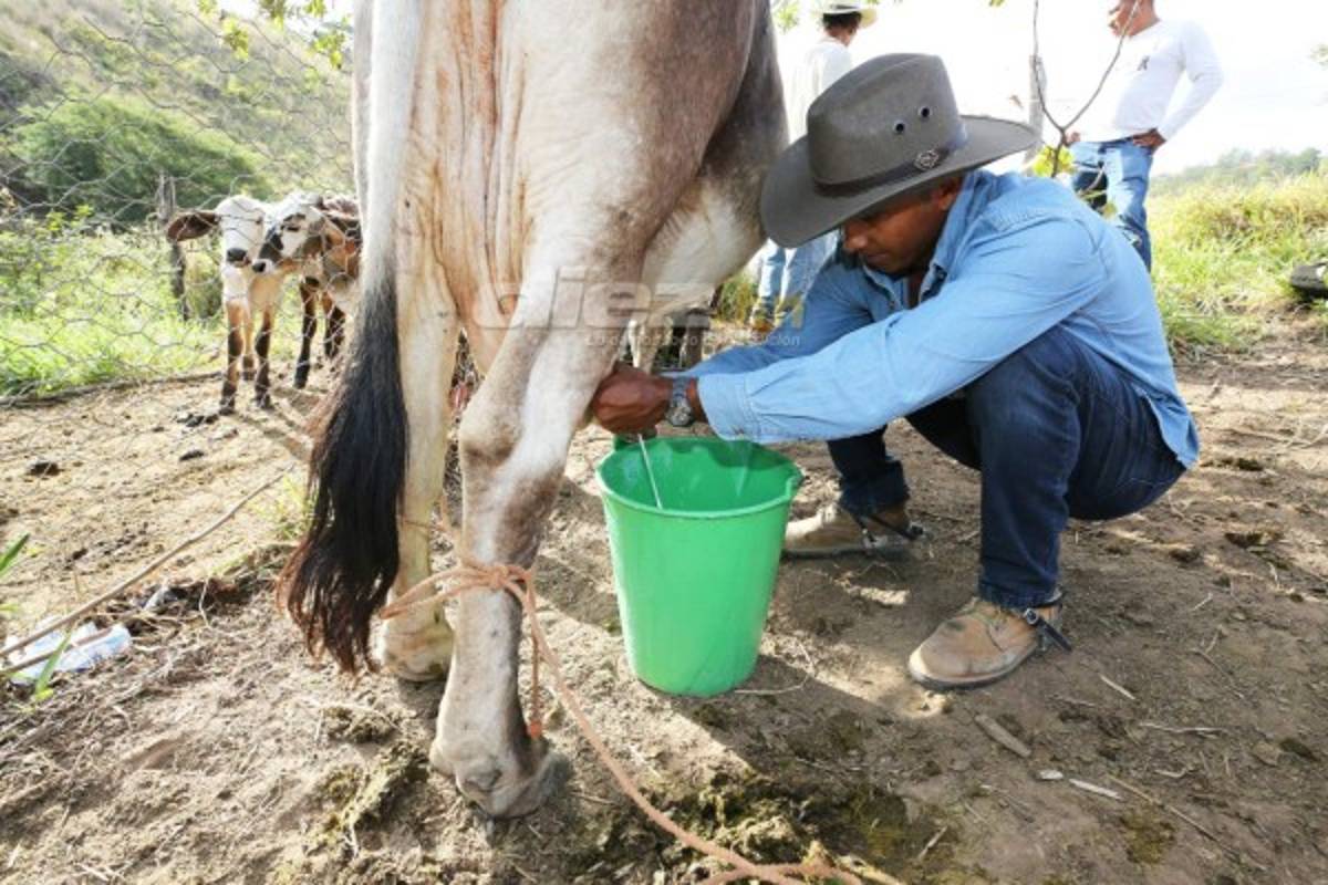 Donis Escober, ganadero: de sombrero y buen jinete; cambió la pelota por el ordeño de vacas