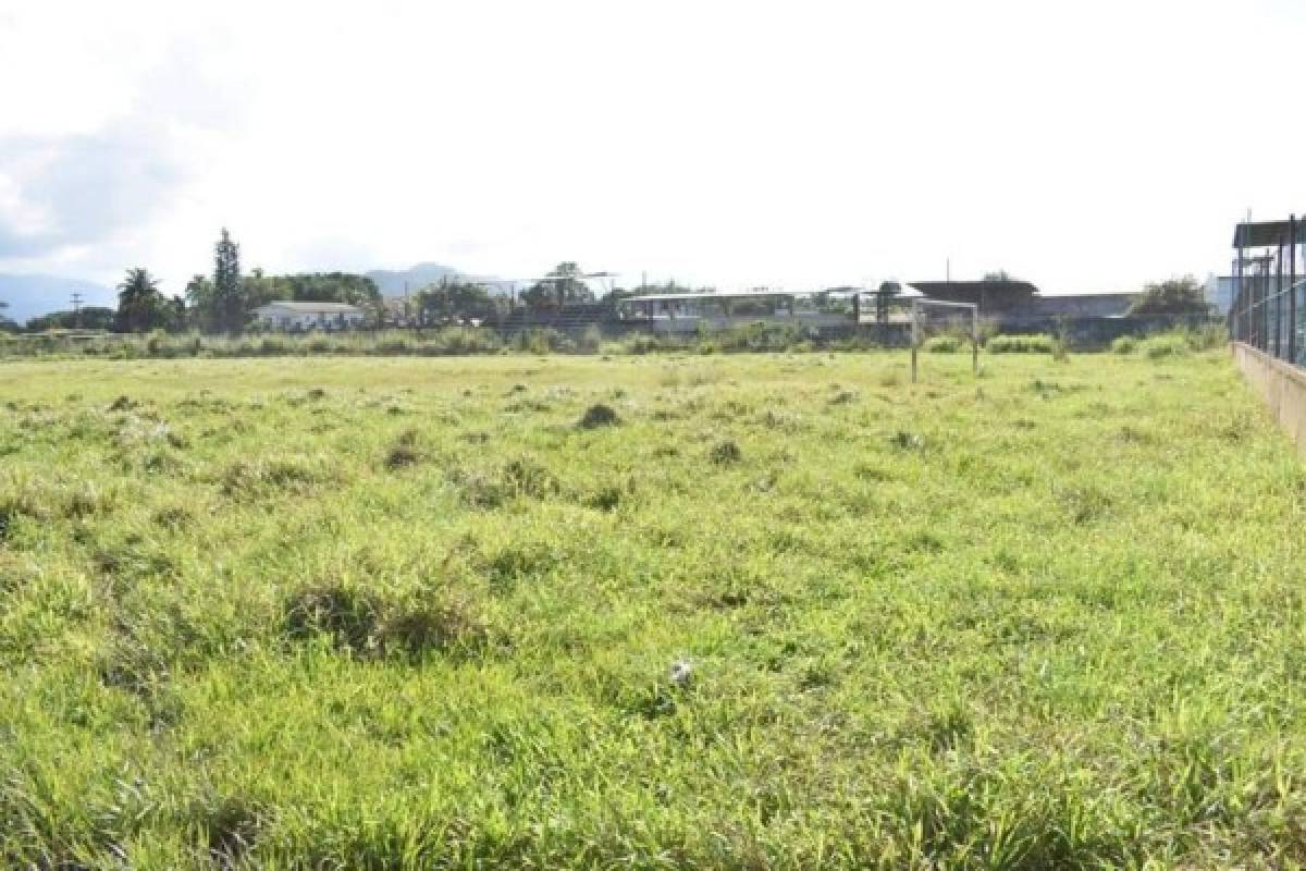 Las deprimentes imágenes del abandono del estadio Alfredo León Gómez en Tela