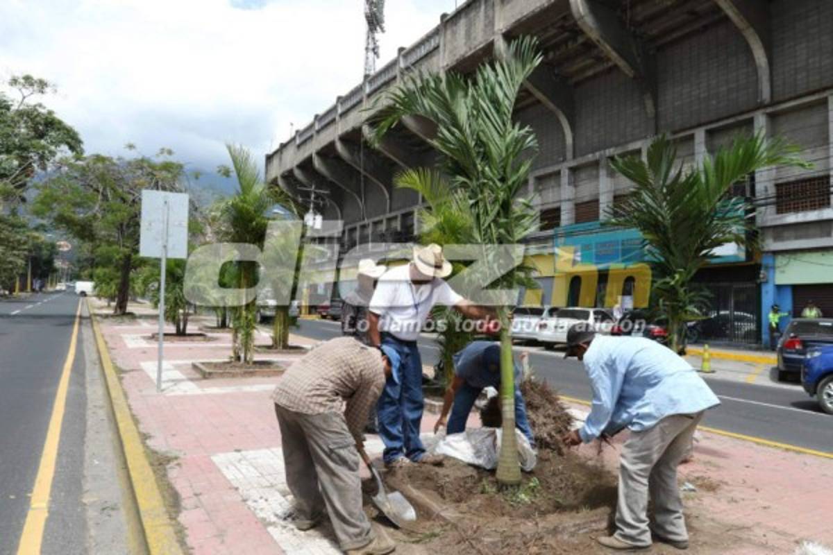Así le han cambiado la cara al estadio Morazán a cinco días de enfrentar a Costa Rica