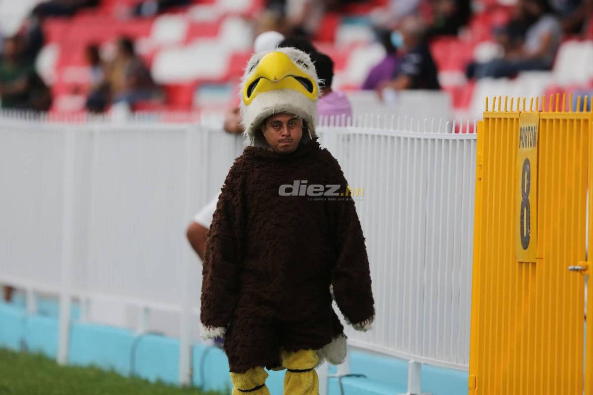 No lo viste en TV: La inesperada fotógrafa esposa de futbolista, la felicidad de Real España y Motagua; Pablo Lavallén sufrió desde el palco