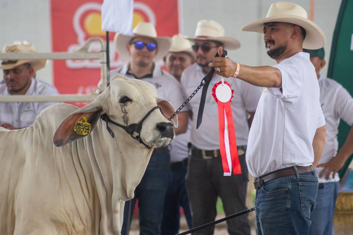 Del Olimpia a la ganadería: así es la nueva vida de Bryan Beckeles