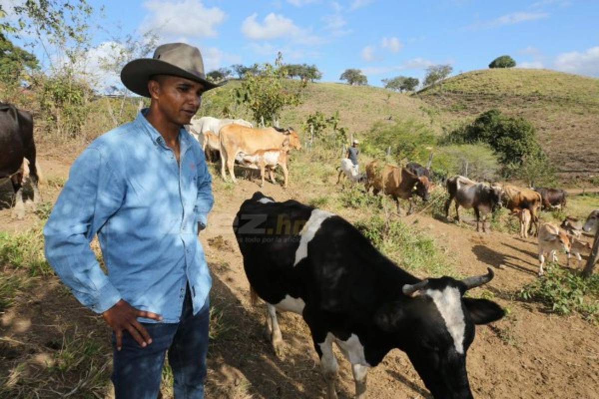 Donis Escober, ganadero: de sombrero y buen jinete; cambió la pelota por el ordeño de vacas