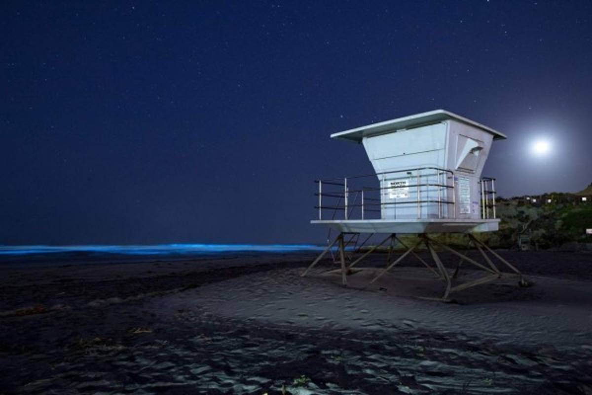 Las fotos que no olvidaremos nunca cuando pase la pandemia del coronavirus