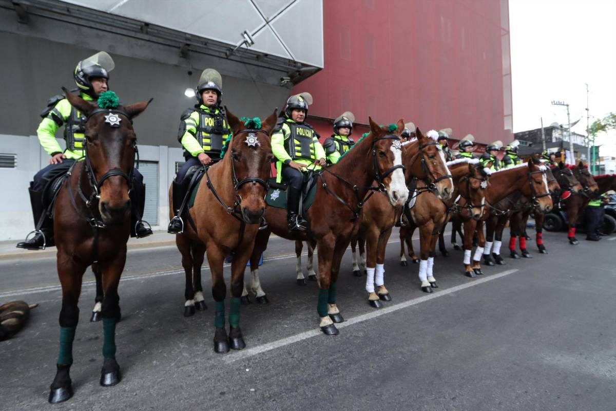 Belleza hondureña en Toluca y las banderas cinco estrellas inundan las calles en el México vs Honduras