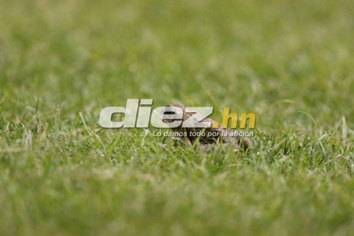 NO SE VE POR TV: Estas son las imágenes que nos has visto de la final