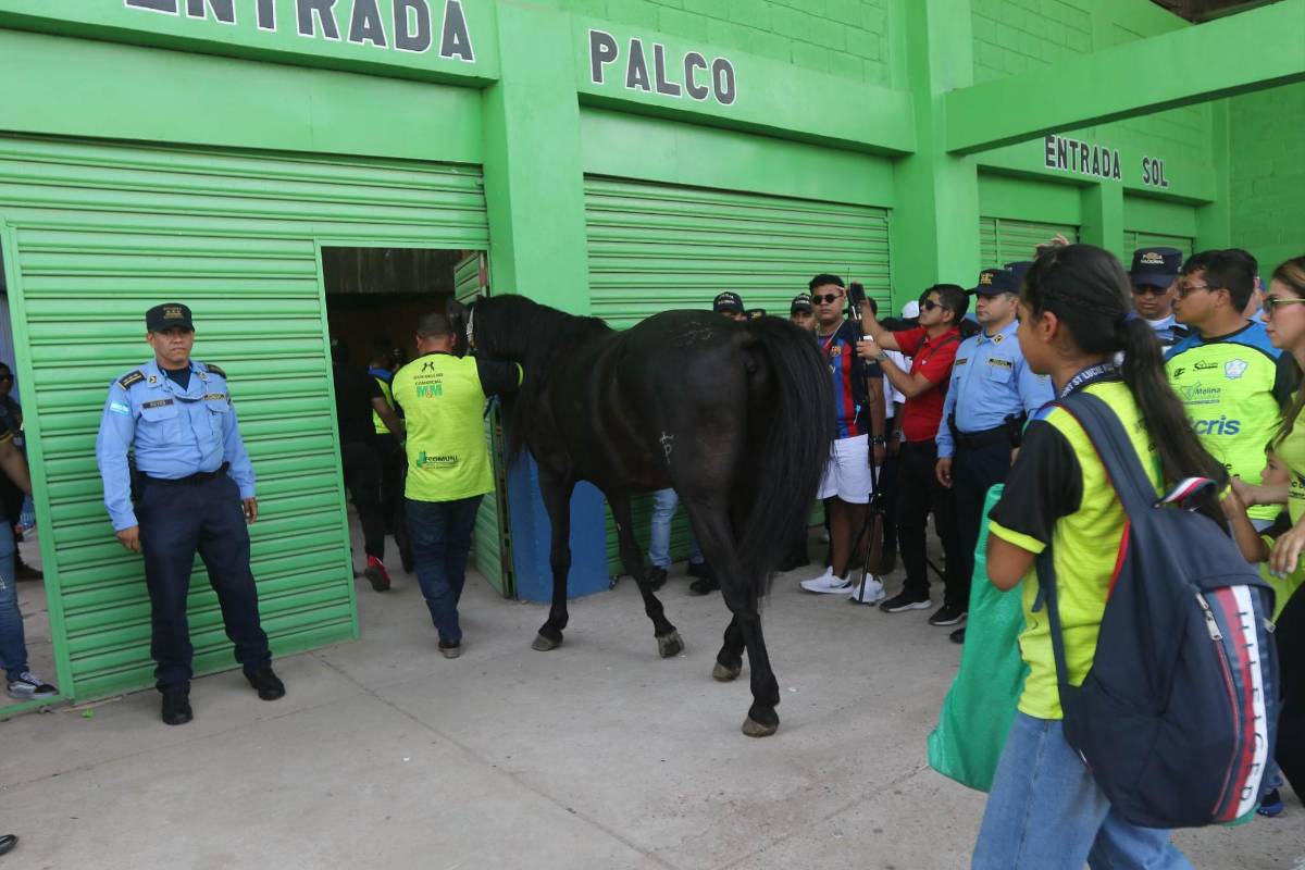 ¿Qué pasó antes del partido con los jugadores del Olancho? Los ‘pelados’ del Olimpia y lo que Auzmendi y Altamirano hacían en el gol de Omar Elvir