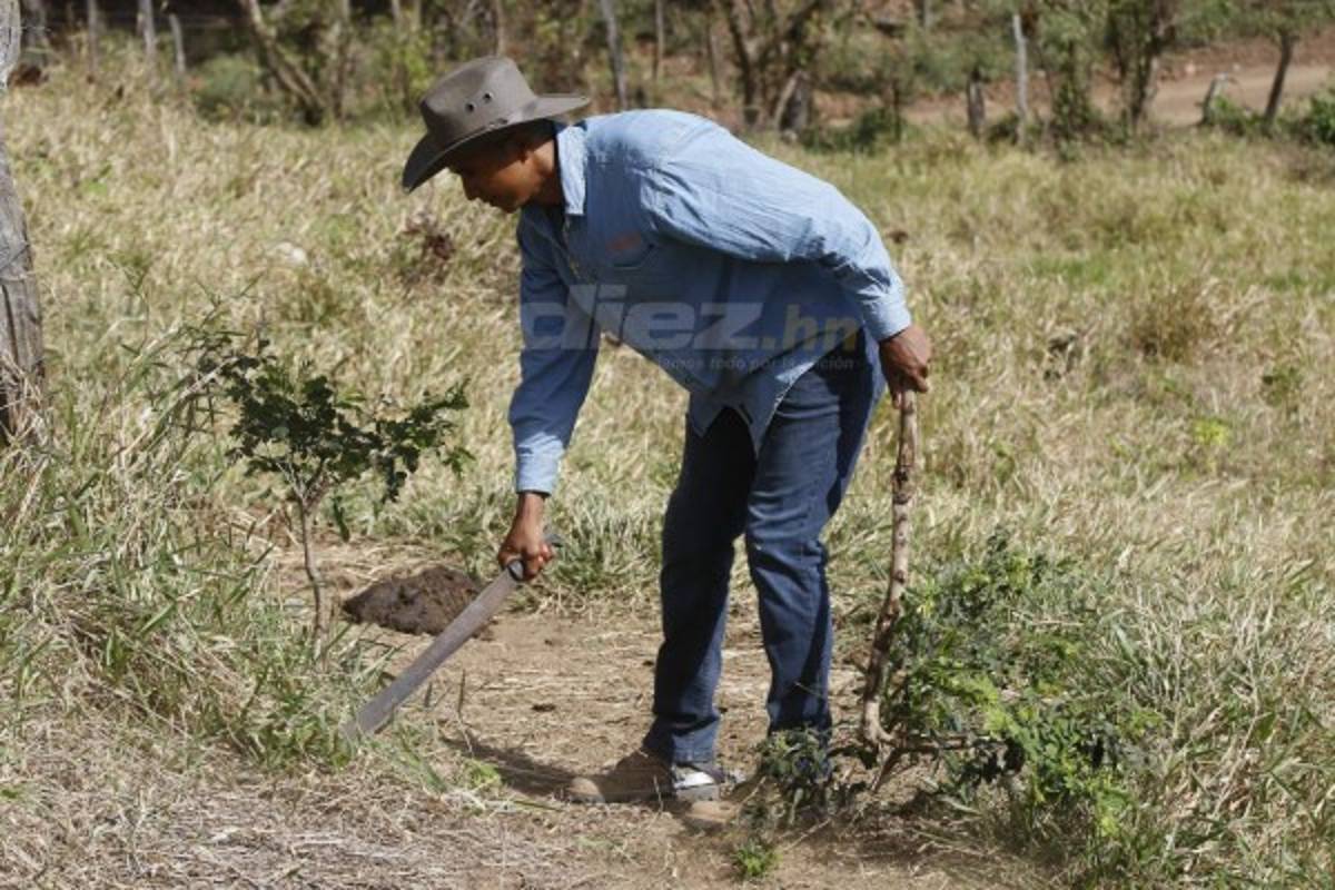 Donis Escober, ganadero: de sombrero y buen jinete; cambió la pelota por el ordeño de vacas