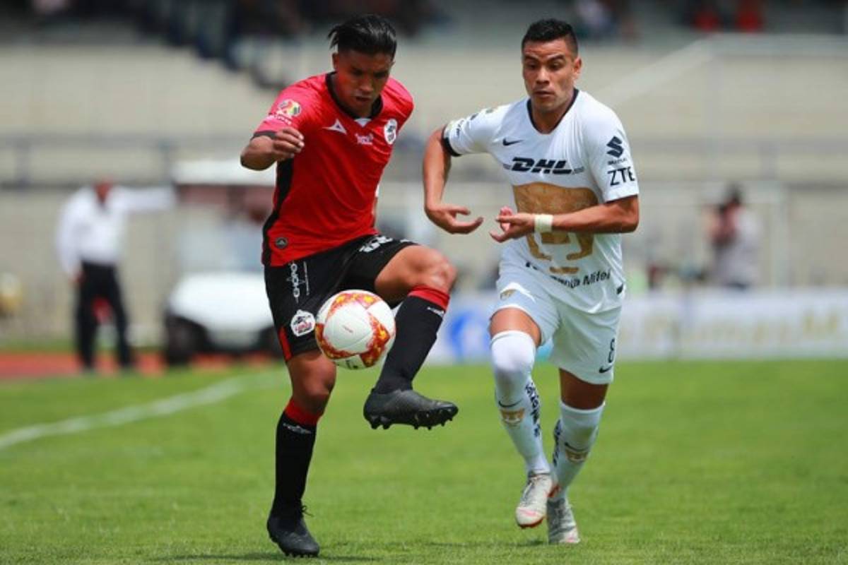 ¿Dónde jugarán? La incertidumbre ronda a los legionarios hondureños