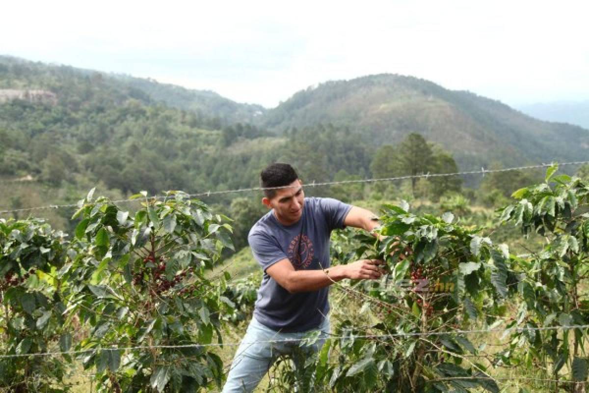 Entre repuestos, café y vacas, Irvin Reyna se olvida del fútbol en Siguatepeque