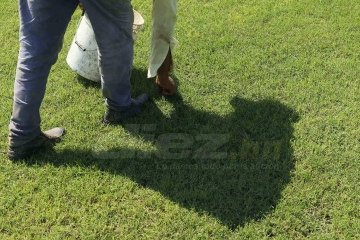 ¡Una belleza! Estadio de Parrillas One será un complejo moderno en Honduras