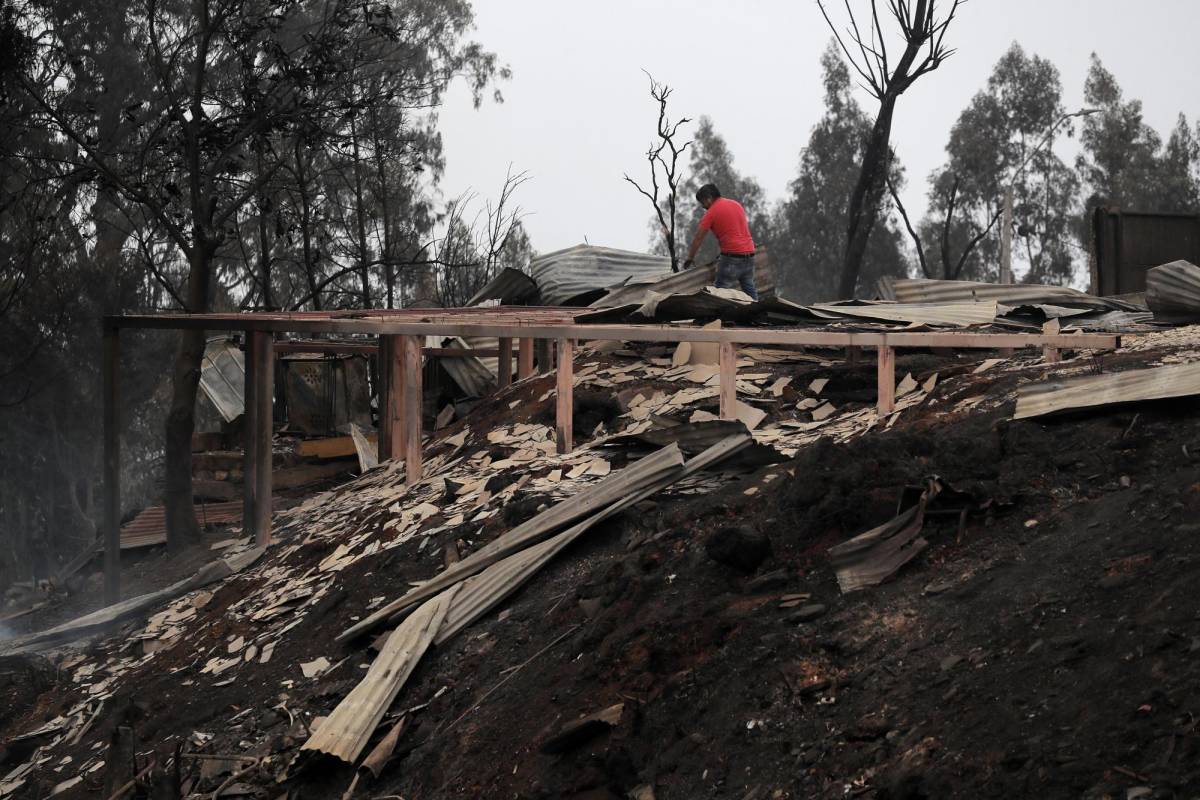 Las impactantes imágenes de los incendios forestales en Chile: 22 fallecidos, 554 heridos y personas escapan de sus casas